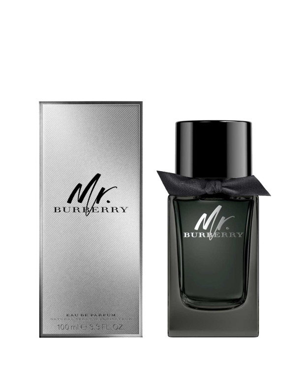 Mr. Burberry Edp